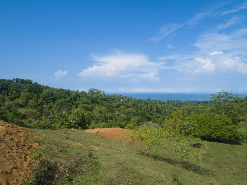 0 bed Land For Sale in Uvita, Puntarenas - 1
